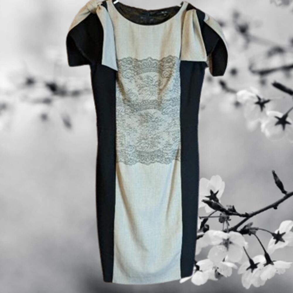 Nelva 6 black & tan short sleeve lined polyester blend black and tan dress.